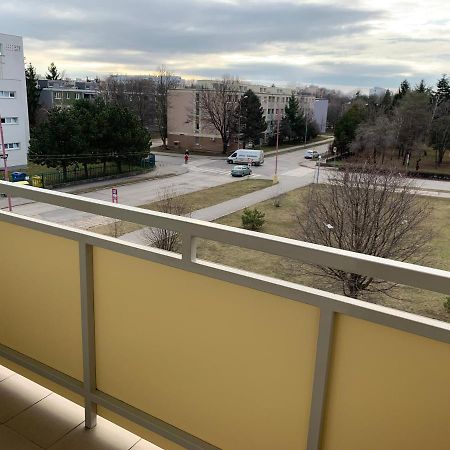 Apartment Botanika2 特尔纳瓦 外观 照片