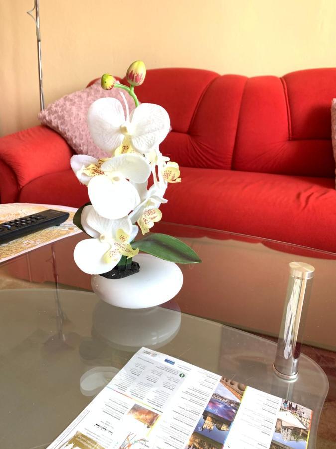 Apartment Botanika2 特尔纳瓦 外观 照片